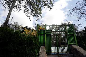 بهار در قاب دانشگاه علوم بهزیستی و توانبخشی